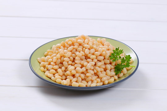 Canned White Beans