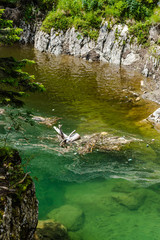 Obraz premium Mountain lake