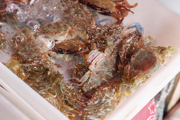 crab sold in the market.