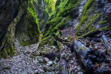 Canyon with a river