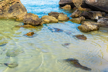 Sea landscape at Thassos island