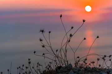 Fototapeta premium Sea sunset landscape