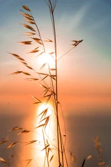 Fotobehang Meloen Zee zonsondergang landschap