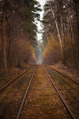 Tram rails in the autumn forest, vintage hipster background. Travel, freedom and hope concept.