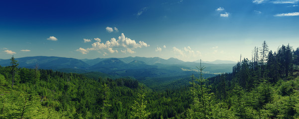 Carpathian mountains summer landscape with blue sky and clouds, natural background. Panoramic view