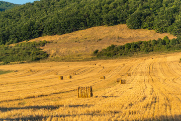 Obraz premium Straw balot