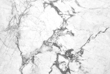 Marble floor counter isolated