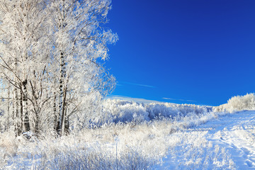 rural winter landscape a with blue sky, a field and forest