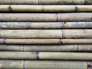 bamboo texture background