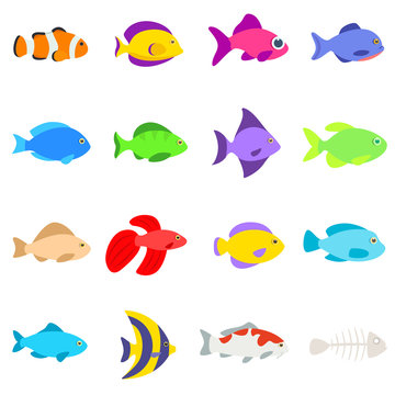 Set of different fishes. Collection of aquarium and tropical fish. Isolated vector illustration.
