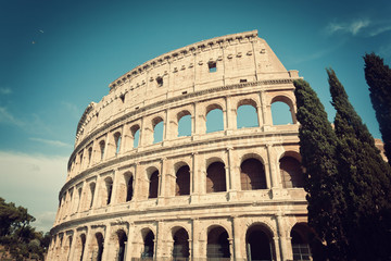 Fototapeta premium Colosseum with cypress trees in vintage tone