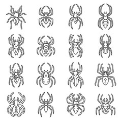 Spiders set of icons. Isolated vector Illustration in linear design. Line with editable stroke