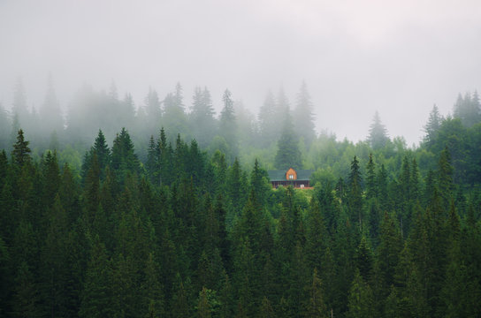 Little house on a green mountain slope, natural landscape vintage background. Foggy morning