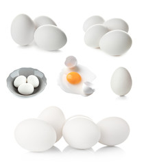 Collage with chicken eggs on white background