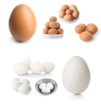 Collage with chicken eggs on white background