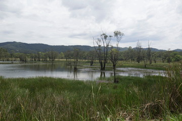 flooded area