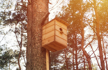 birdhouse on the tree