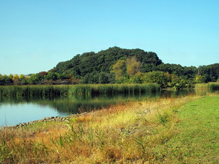 池と森のある風景