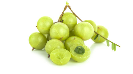 Indian Gooseberry on white background
