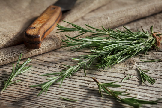 Branches of fresh rosemary, vintage wooden background, selective focus