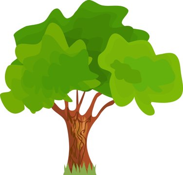 Cartoon tree with green leaves on white background
