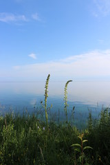 Summer day on the lake Baikal. A bright Sunny day. In the foreground green grass. In the background...