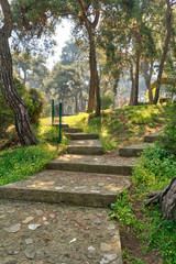 Ascending stone stairs surrounded by huge green tree and grass at a public natural park in spring time, Buyukada Island (Princes island), Istanbul, Turkey