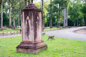 Obraz premium angkor world heritage in cambodia