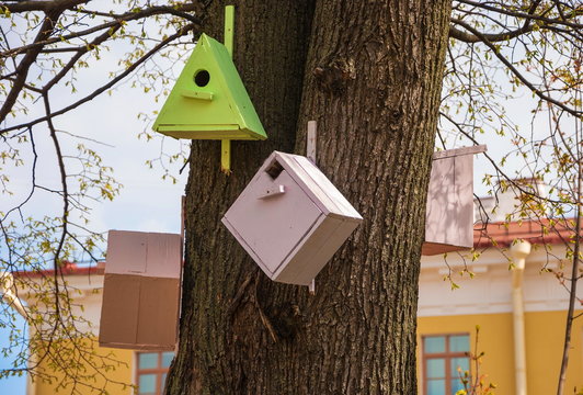 Small wooden houses for birds on a tree in city park