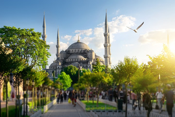 Fototapeta premium Park near the blue mosque