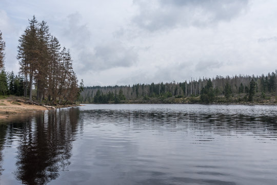 The Silberteich lake  in Harz, Germany
