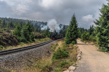 The old  locomotive in forest in Harz, Germany