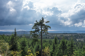 The landscape of mountain in Harz, Germany