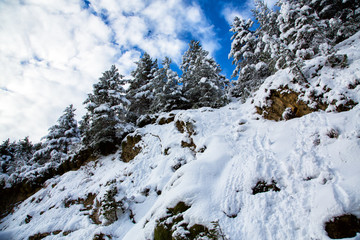 Fototapeta na wymiar Winter mountains, lanscape with pines and snow.