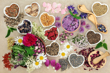 Medicinal herbs and flowers used in herbal medicine, homoeopathic and aromatherapy remedies on hemp paper background. Top View. 