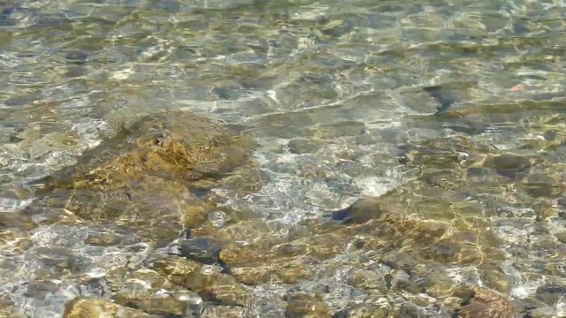 Spiagge e acqua del lago di Como