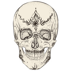 Skull and tattoos. Beautiful patterns.