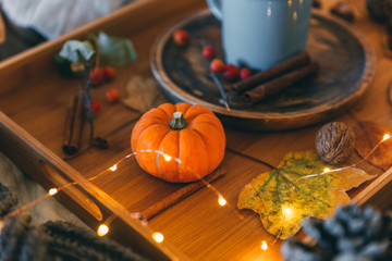 Autumn composition