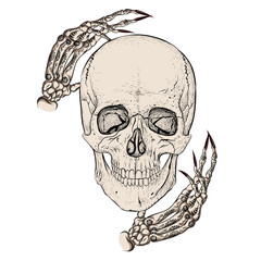 Skull and hands. Tattoos and manicures.