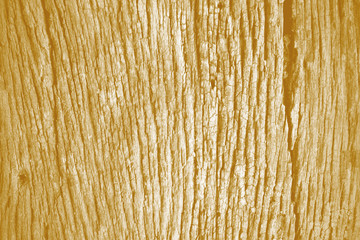 Abstract background pattern of old wood. Photo filters.