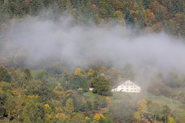 Matin d'automne dans les Vosges