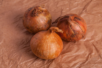 onions heads on a brown background