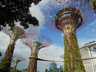 ガーデンズ・バイ・ザ・ベイ