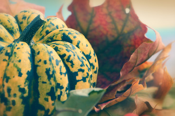 Autumn harvest still life