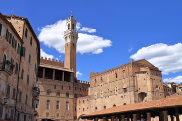 Obraz premium Torre del Manguia - Siena - Tuscany - Italy