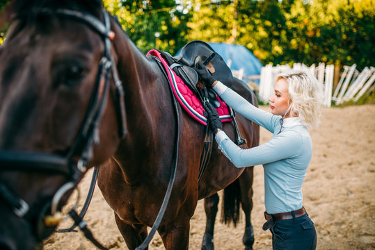 Female rider preparing a horse saddle, 