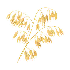 Wheat ears, barley. Cereal 3d icon vector. Grains and ears. Harvest time seed and plant