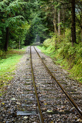 Obraz premium wavy railroad tracks in wet summer day in forest