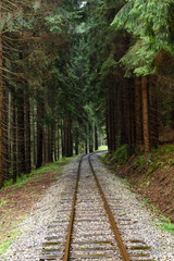 Fototapeta na wymiar wavy railroad tracks in wet summer day in forest