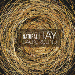 Abstract background  hay nest. Natural background © makstorm